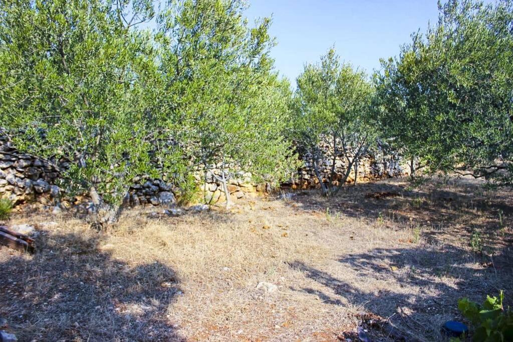 Kuca Za Odmor Obitelji Pedisic Villa Banj Luaran gambar